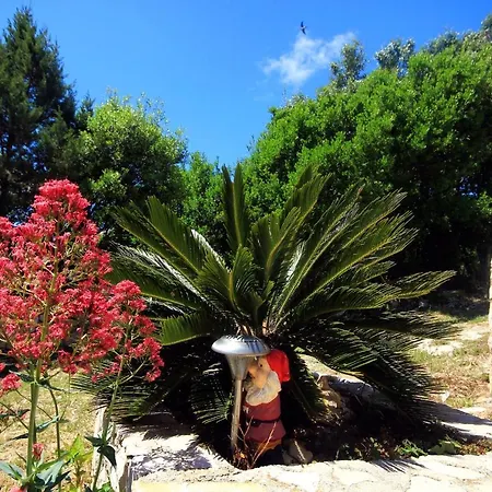 Apartmán By The Sea Zavalatica, Korcula - 546 *